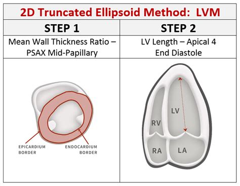 what is lv mass 2d